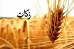 مردم شاهین دژ ۱۴۰ میلیارد ریال زکات پرداخت کردند