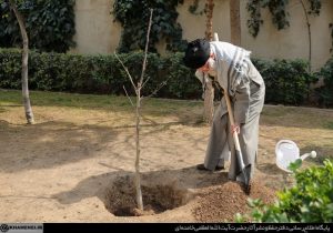 نهضت ملی درختکاری جدی گرفته شود و ادامه یابد