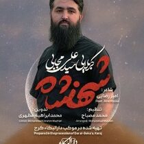 انتشار نماهنگ «شهنشاه» به مناسبت شهادت امیرالمومنین(ع)