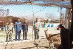 پایش زیست‌محیطی باغ پرندگان شاهین‌دژ