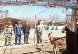پایش زیست‌محیطی باغ پرندگان شاهین‌دژ