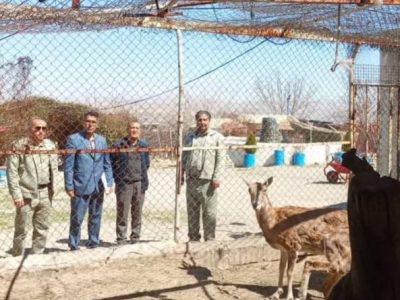 پایش زیست‌محیطی باغ پرندگان شاهین‌دژ