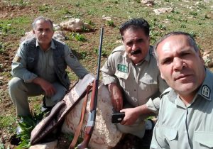 کشف و ضبط یک قبضه اسلحه شکاری در منطقه ییلاقی شهرستان شاهین دژ