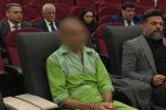 عامل حمله‌ به سفارت جمهوری آذربایجان اعدام شد