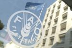 حق رای ایران در فائو پس از ۱۵ سال احیا شد