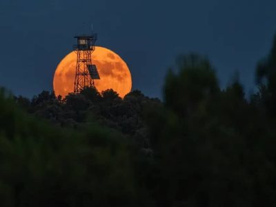 به دنبال توت فرنگی در سبد ماه کامل چهارشنبه ۲۱ خرداد نباشید