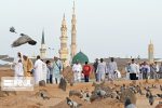 امام حسن(ع) با پذیرش آتش‌بس به هدایت نسل‌های آینده پرداخت