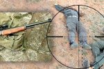 تفنگ خالی، دل پرخون/ ورود قاطعانه مجلس؛ پایانی بر خلاء قانونی در بکارگیری سلاح