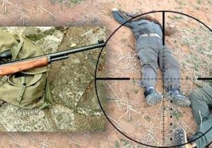تفنگ خالی، دل پرخون/ ورود قاطعانه مجلس؛ پایانی بر خلاء قانونی در بکارگیری سلاح